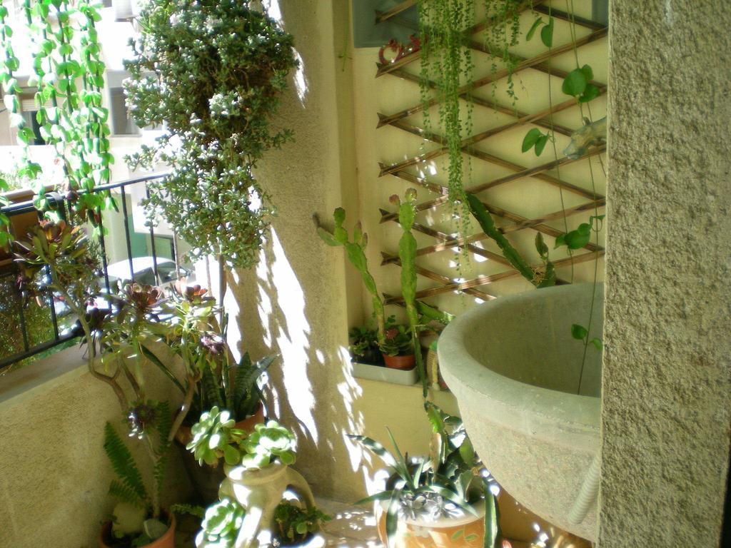 צ'פאלו Orizzonte B&B חדר תמונה